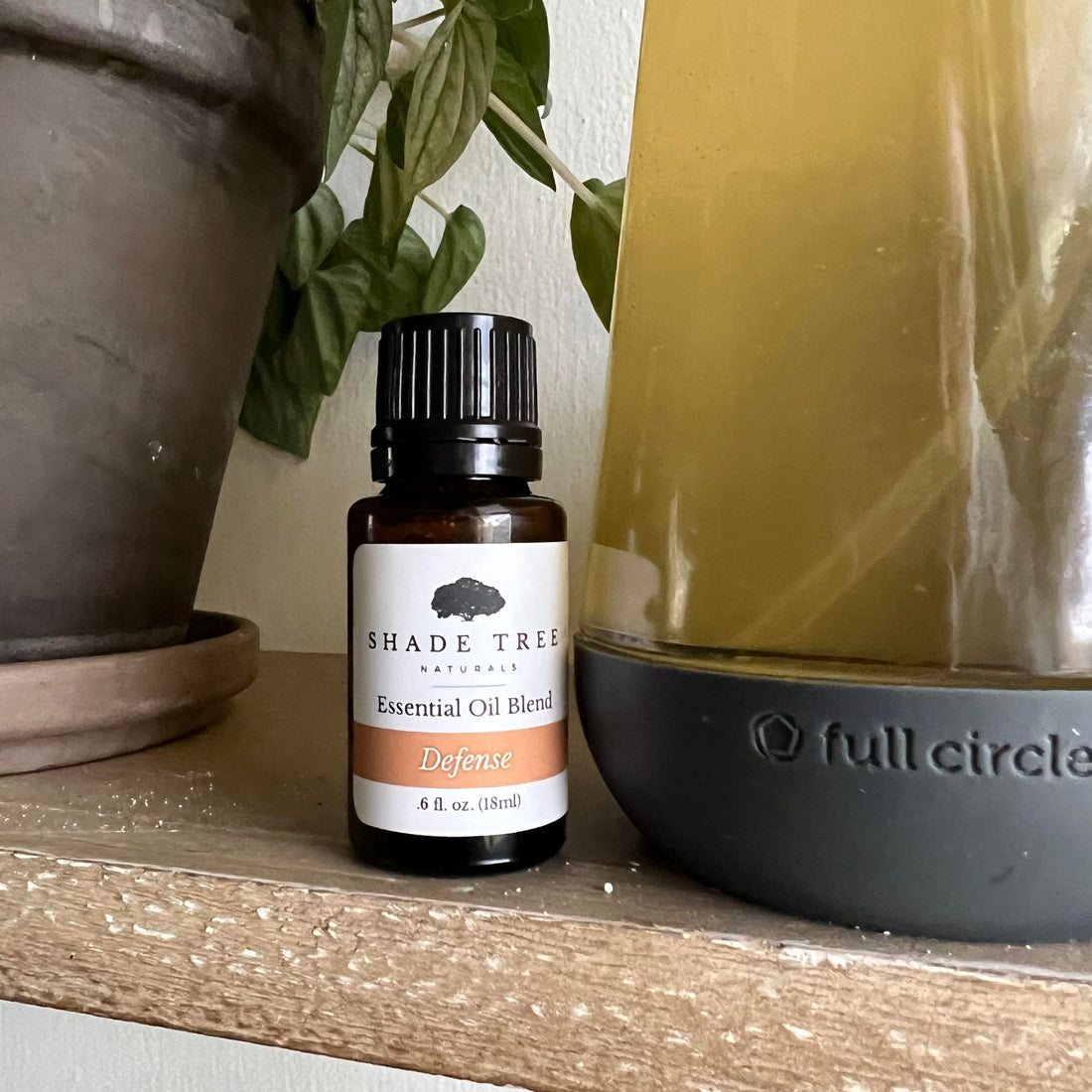 Do It Yourself: All Purpose Cleaner