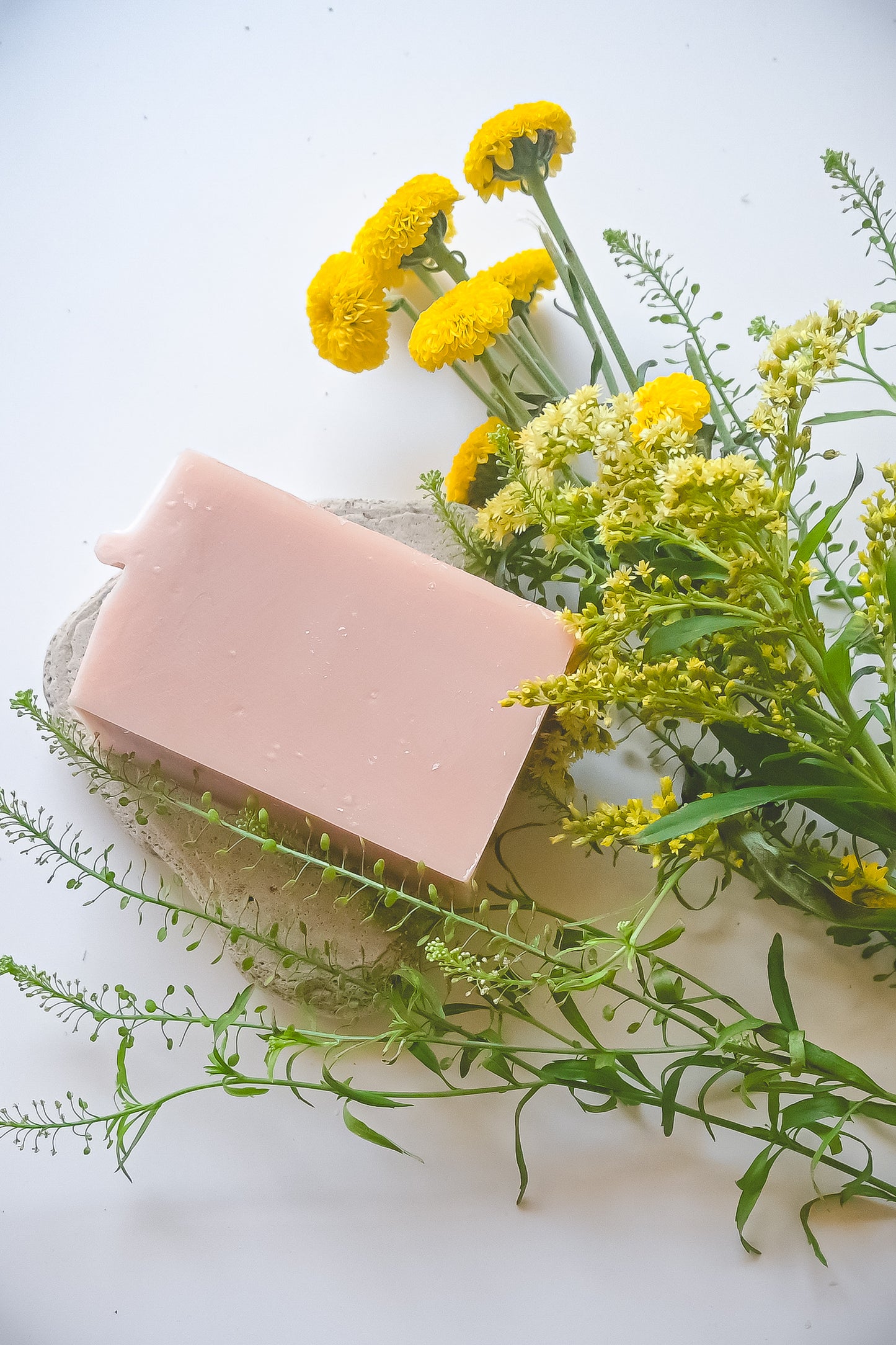 Seasonal Soap Trio