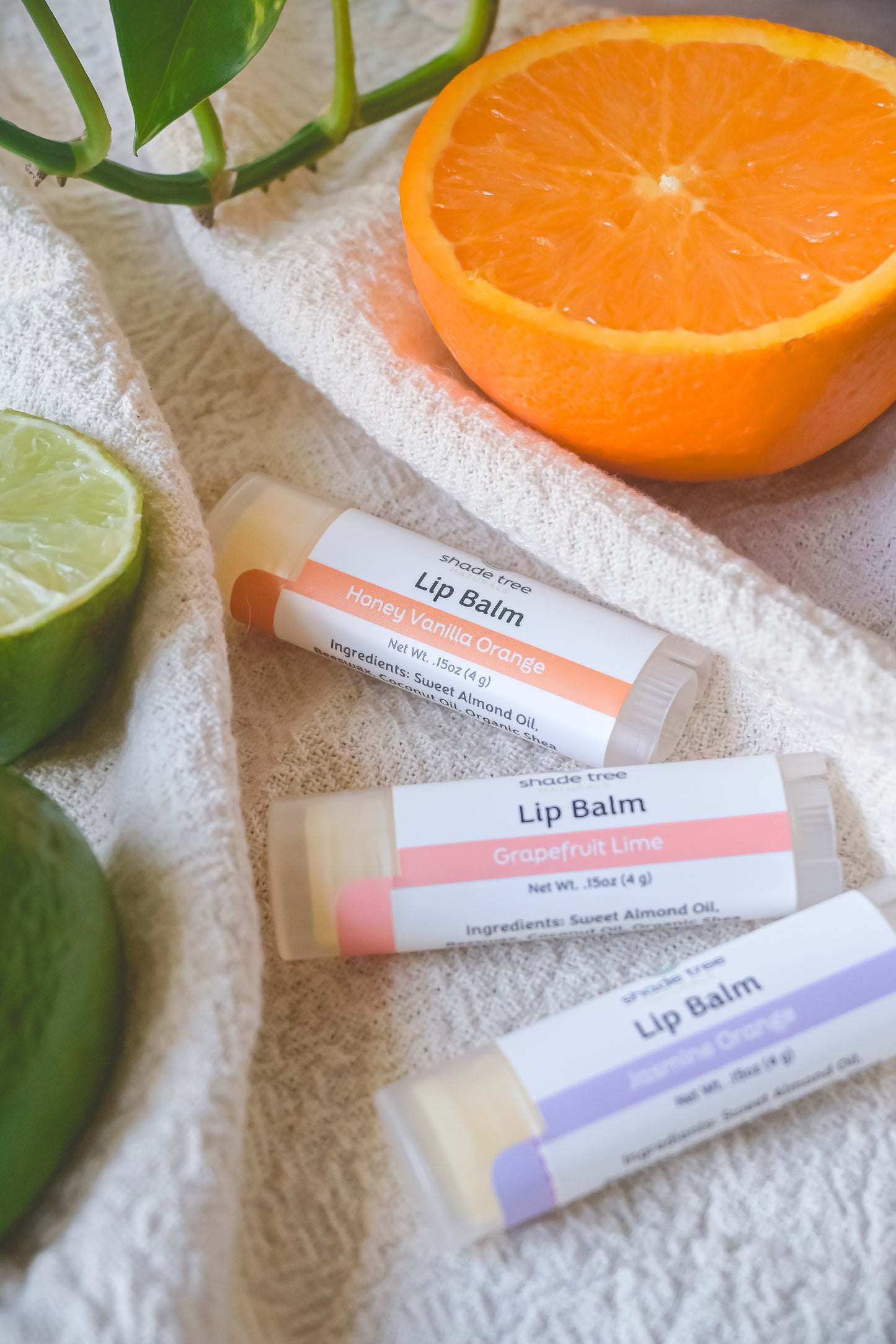 Seasonal Lip Balm Trio