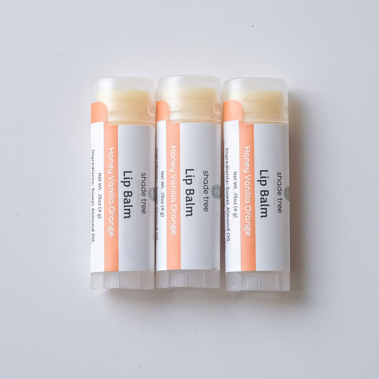 Honey Vanilla Orange Lip Balm (Seasonal)
